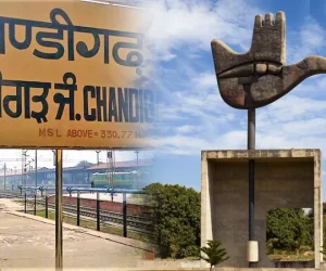 Chandigarh’s Go-To Agency for Website Development & Meta Ads – Launch Lions