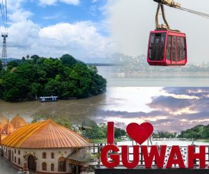 Website Development & Meta Ads Services in Guwahati – Launch Lions for DTC Growth
